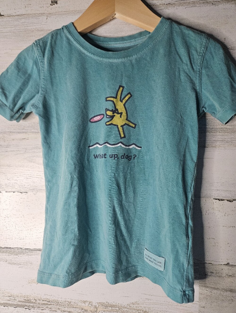 Life is Good Kids What Up, Dog Tshirt Toddler 2t Unisex Boys or Girls Green Blue